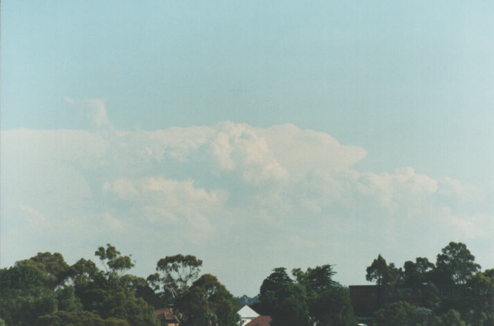 thunderstorm cumulonimbus_calvus : Rooty Hill, NSW   29 January 1999