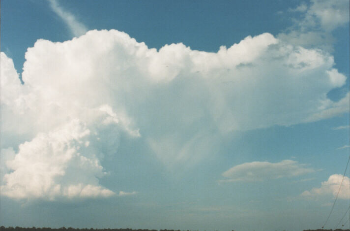 raincascade precipitation_cascade : Schofields, NSW   29 January 1999