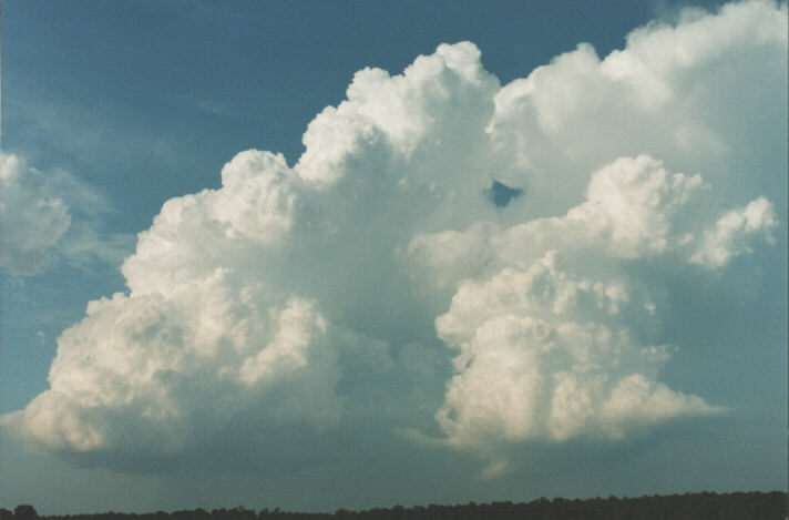 thunderstorm cumulonimbus_incus : Schofields, NSW   29 January 1999