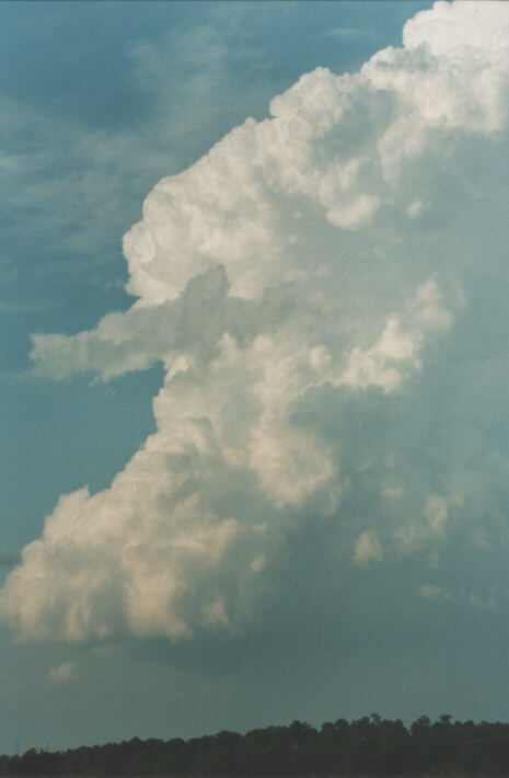 updraft thunderstorm_updrafts : Schofields, NSW   29 January 1999