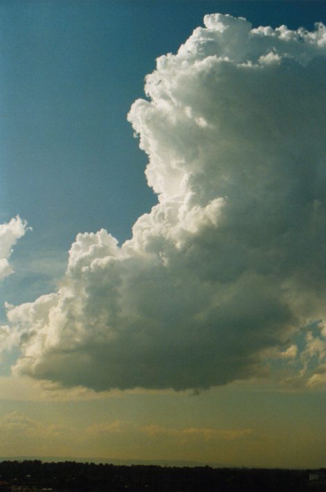 updraft thunderstorm_updrafts : Rooty Hill, NSW   29 January 1999