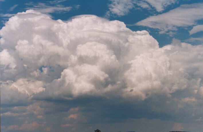 thunderstorm cumulonimbus_calvus : Breeza, NSW   30 January 1999