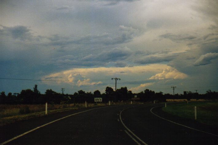 thunderstorm cumulonimbus_incus : S of Narrabri, NSW   30 January 1999