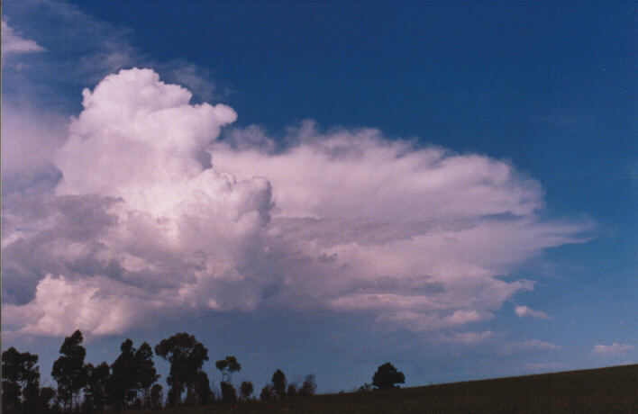 thunderstorm cumulonimbus_calvus : Rooty Hill, NSW   4 March 1999