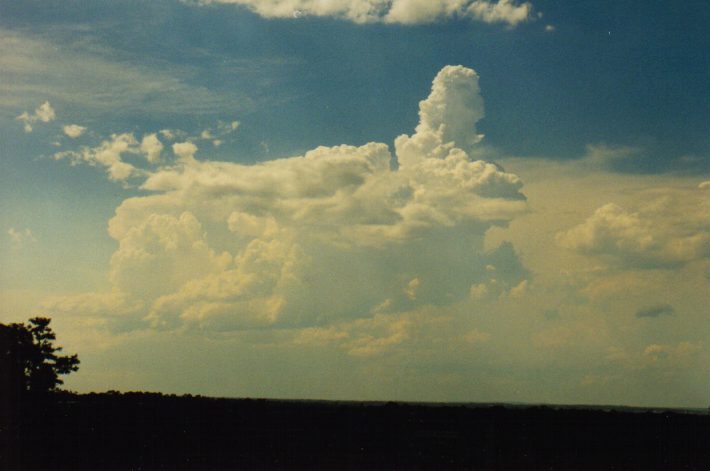 thunderstorm cumulonimbus_incus : Rooty Hill, NSW   4 March 1999