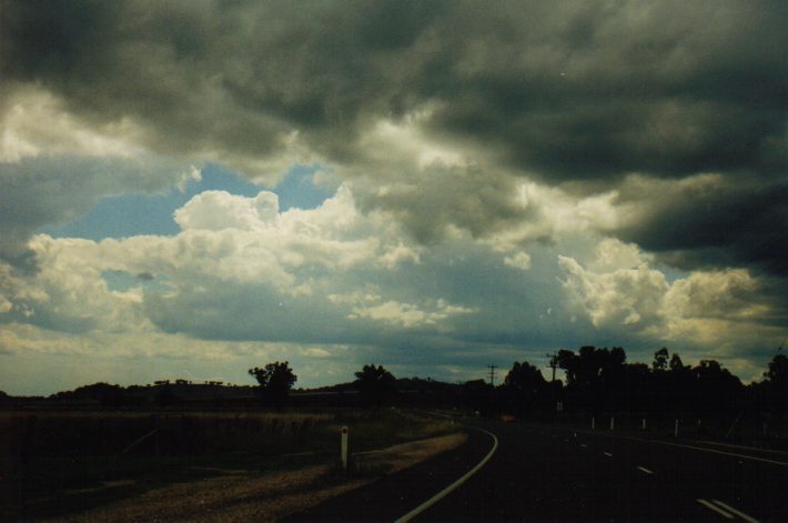 cumulus congestus : near Murrurundi, NSW   7 March 1999