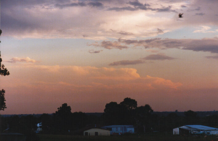 thunderstorm cumulonimbus_incus : Riverstone, NSW   12 March 1999