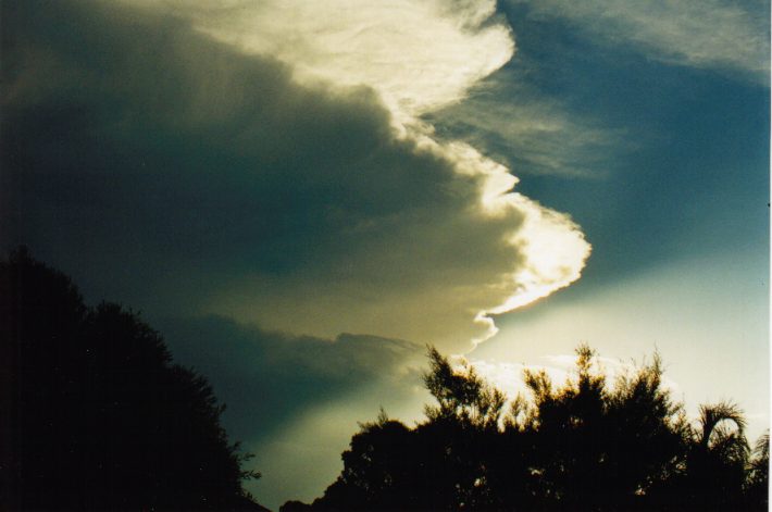 thunderstorm cumulonimbus_incus : Oakhurst, NSW   12 March 1999