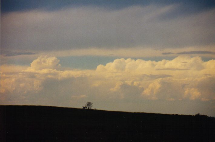 anvil thunderstorm_anvils : Luddenham, NSW   13 March 1999