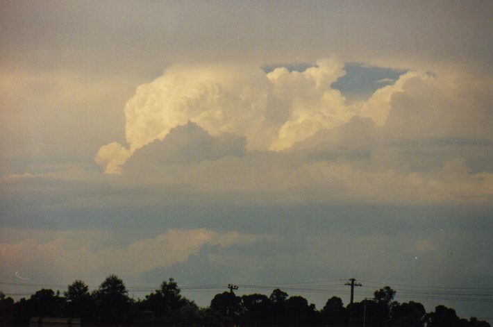 thunderstorm cumulonimbus_calvus : East Richmond, NSW   13 March 1999