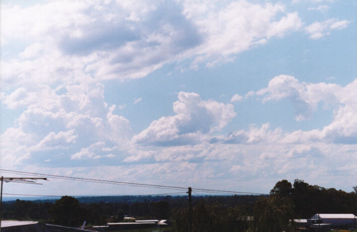 cumulus mediocris : Schofields, NSW   14 March 1999