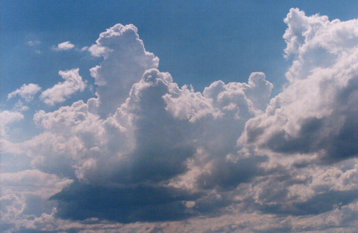 thunderstorm cumulonimbus_calvus : Schofields, NSW   14 March 1999