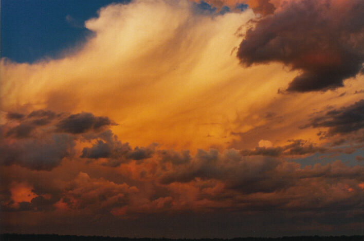 cumulus mediocris : Schofields, NSW   14 March 1999