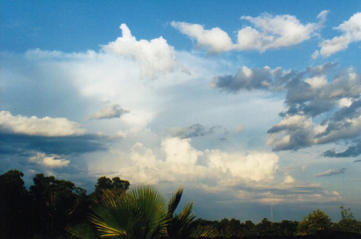 thunderstorm cumulonimbus_incus : Oakhurst, NSW   14 March 1999