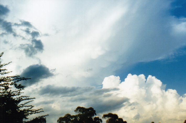 cumulus congestus : Oakhurst, NSW   14 March 1999