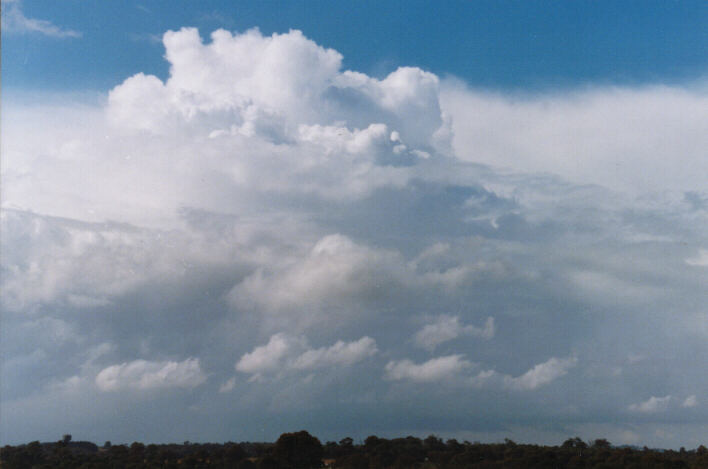 thunderstorm cumulonimbus_calvus : Schofields, NSW   11 April 1999