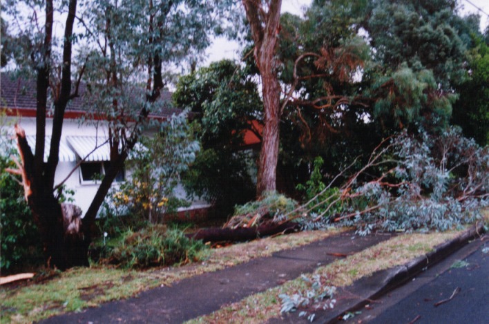 disasters storm_damage : Fairfield West, NSW   29 August 1999