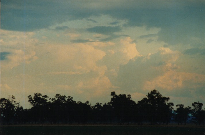 thunderstorm cumulonimbus_calvus : Breeza Plains, NSW   25 September 1999