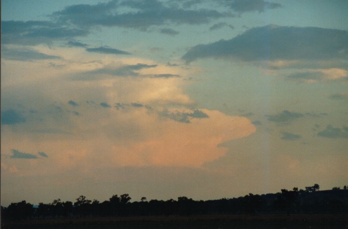 altocumulus altocumulus_cloud : Breeza Plains, NSW   25 September 1999