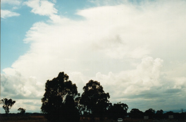 cumulus congestus : Moonbi Hill, NSW   26 September 1999