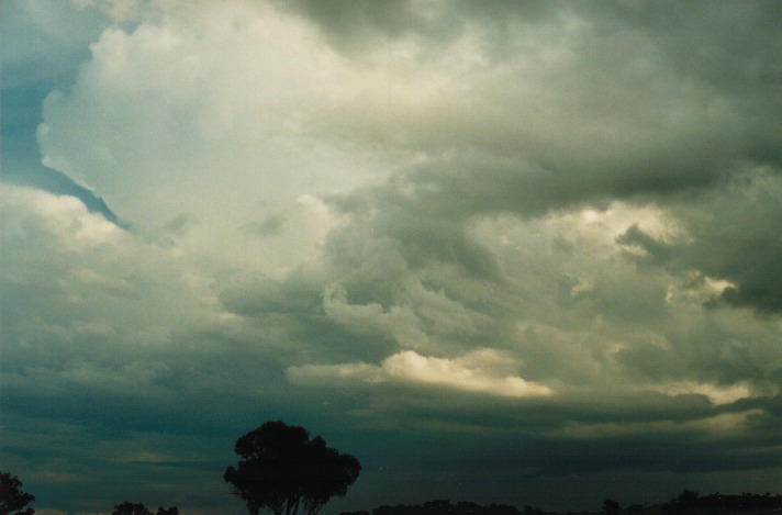 thunderstorm cumulonimbus_incus : Tamworth, NSW   26 September 1999