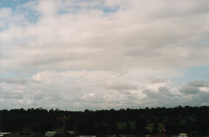 thunderstorm cumulonimbus_incus : Schofields, NSW   28 September 1999