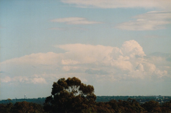 thunderstorm cumulonimbus_calvus : Schofields, NSW   29 September 1999