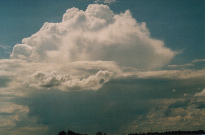 thunderstorm cumulonimbus_incus : Schofields, NSW   2 October 1999
