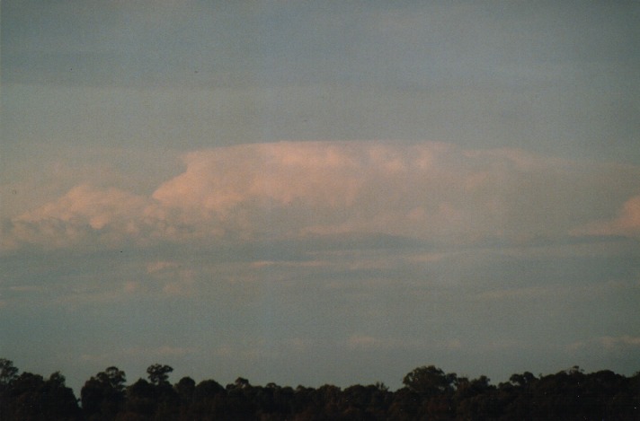 thunderstorm cumulonimbus_incus : Schofields, NSW   2 October 1999