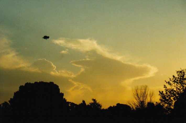thunderstorm cumulonimbus_incus : Wollongbar, NSW   16 October 1999