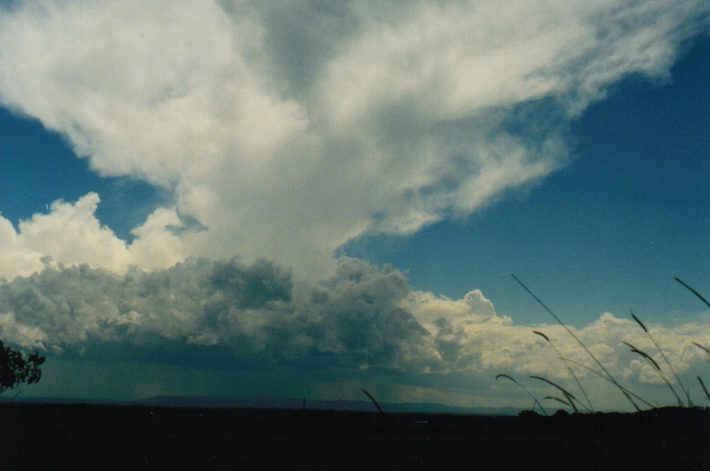 thunderstorm cumulonimbus_incus : Parrots Nest, NSW   24 October 1999