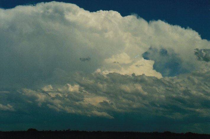 thunderstorm cumulonimbus_incus : E of Casino, NSW   24 October 1999