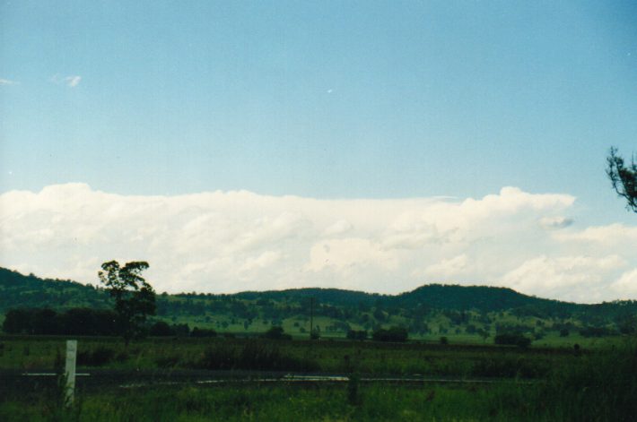 thunderstorm cumulonimbus_incus : Tatham, NSW   24 October 1999