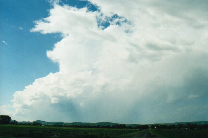 thunderstorm cumulonimbus_incus : Tatham, NSW   24 October 1999