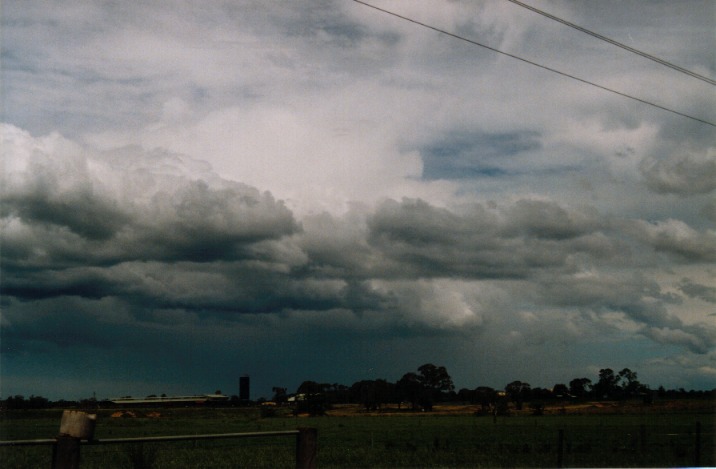 cumulus mediocris : Richmond, NSW   6 November 1999
