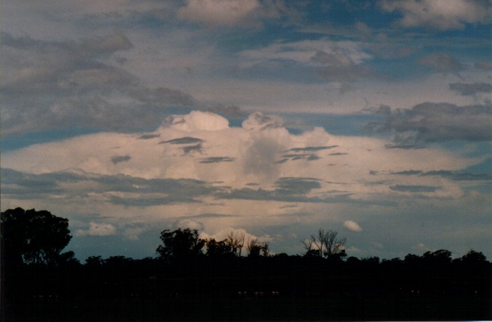 cumulonimbus supercell_thunderstorm : Richmond, NSW   6 November 1999