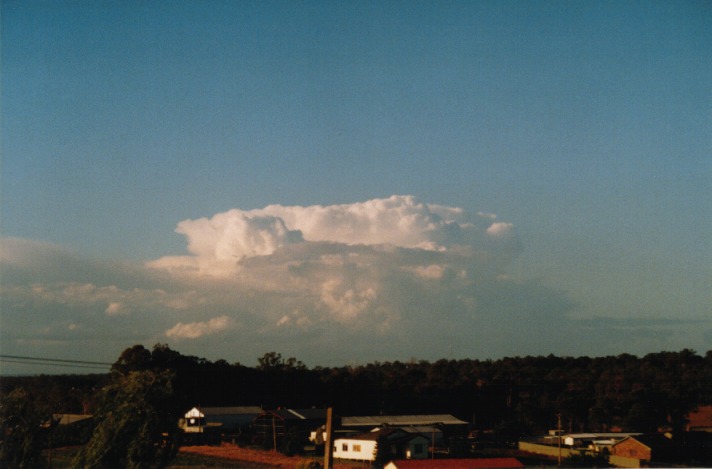 thunderstorm cumulonimbus_incus : Schofields, NSW   11 November 1999