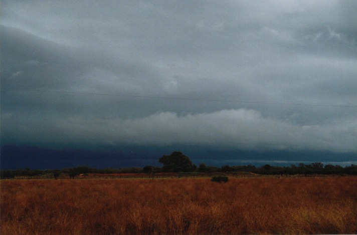 shelfcloud shelf_cloud : Barringun, NSW   20 November 1999