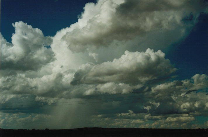 cumulus congestus : E of Morven, Qld   21 November 1999