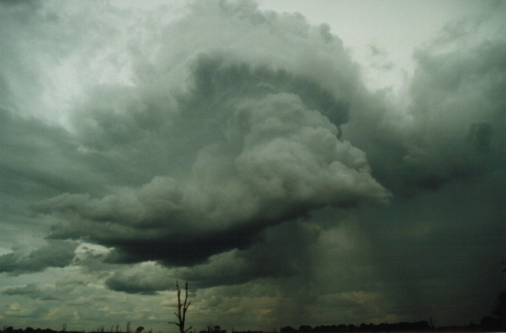 cumulonimbus thunderstorm_base : S of Gumtree, Qld   22 November 1999