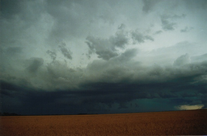 cumulonimbus thunderstorm_base : S of Condamine, Qld   22 November 1999