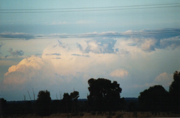 thunderstorm cumulonimbus_incus : near Chinchilla, Qld   24 November 1999