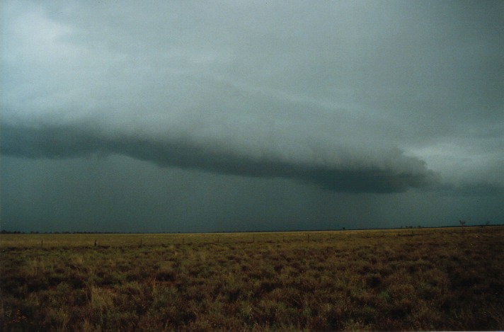 raincascade precipitation_cascade : N of Cunumulla, Qld   26 November 1999