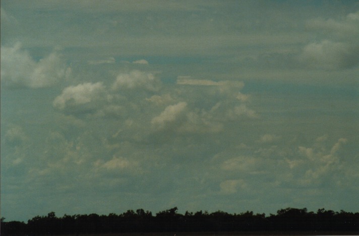thunderstorm cumulonimbus_calvus : S of Cunumulla, Qld   27 November 1999