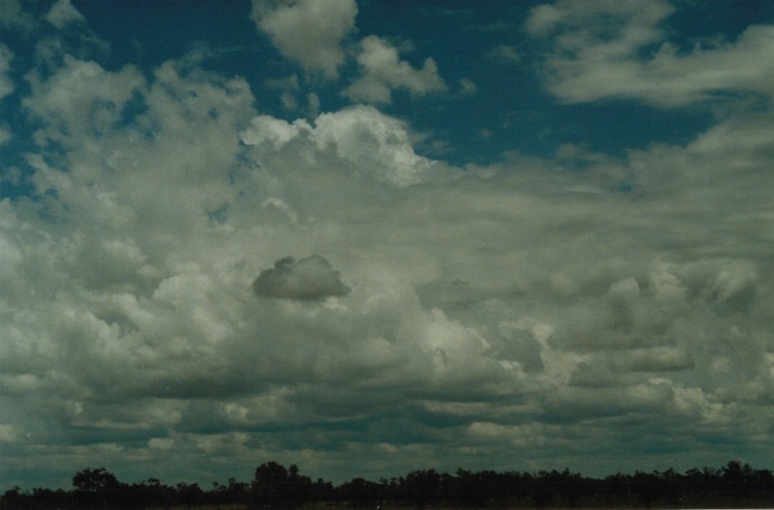cumulus congestus : S of Cunumulla, Qld   27 November 1999