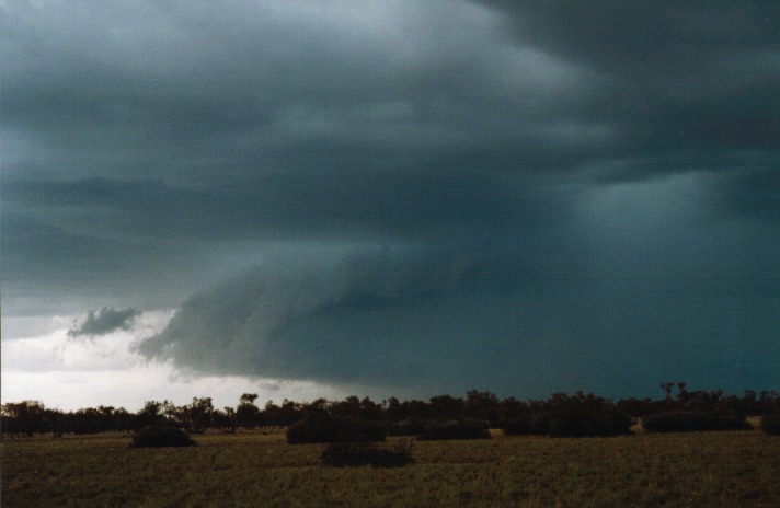 shelfcloud shelf_cloud : N of Barringun, NSW   27 November 1999