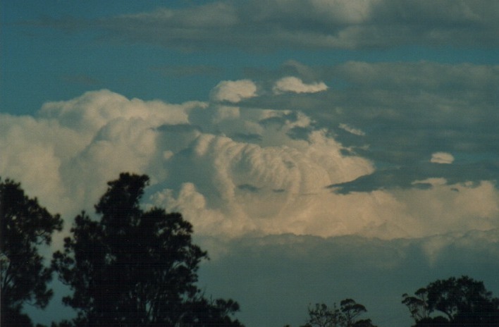 thunderstorm cumulonimbus_calvus : Moroya, NSW   11 December 1999
