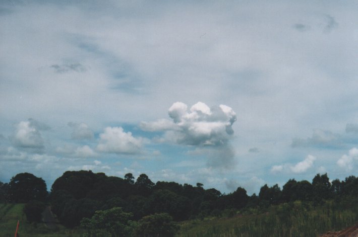 cumulus pyrocumulus : McLeans Ridges, NSW   22 December 1999