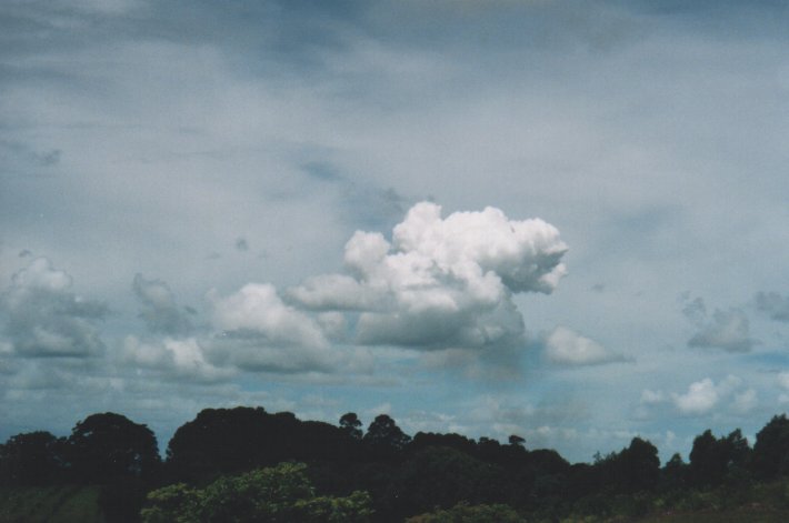 cumulus pyrocumulus : McLeans Ridges, NSW   22 December 1999