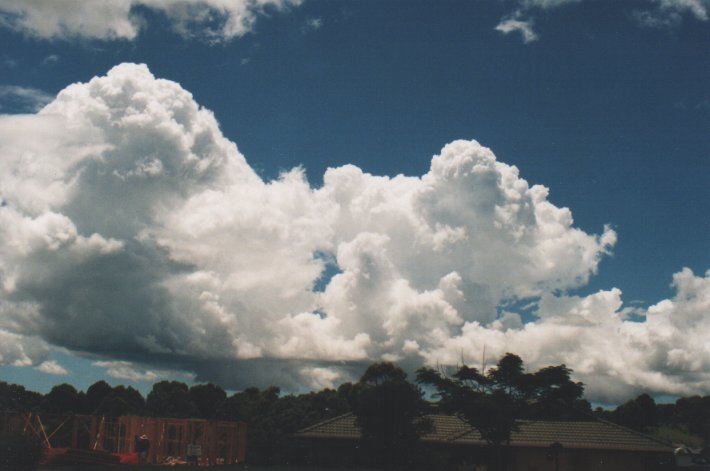 cumulus congestus : Wollongbar, NSW   29 December 1999